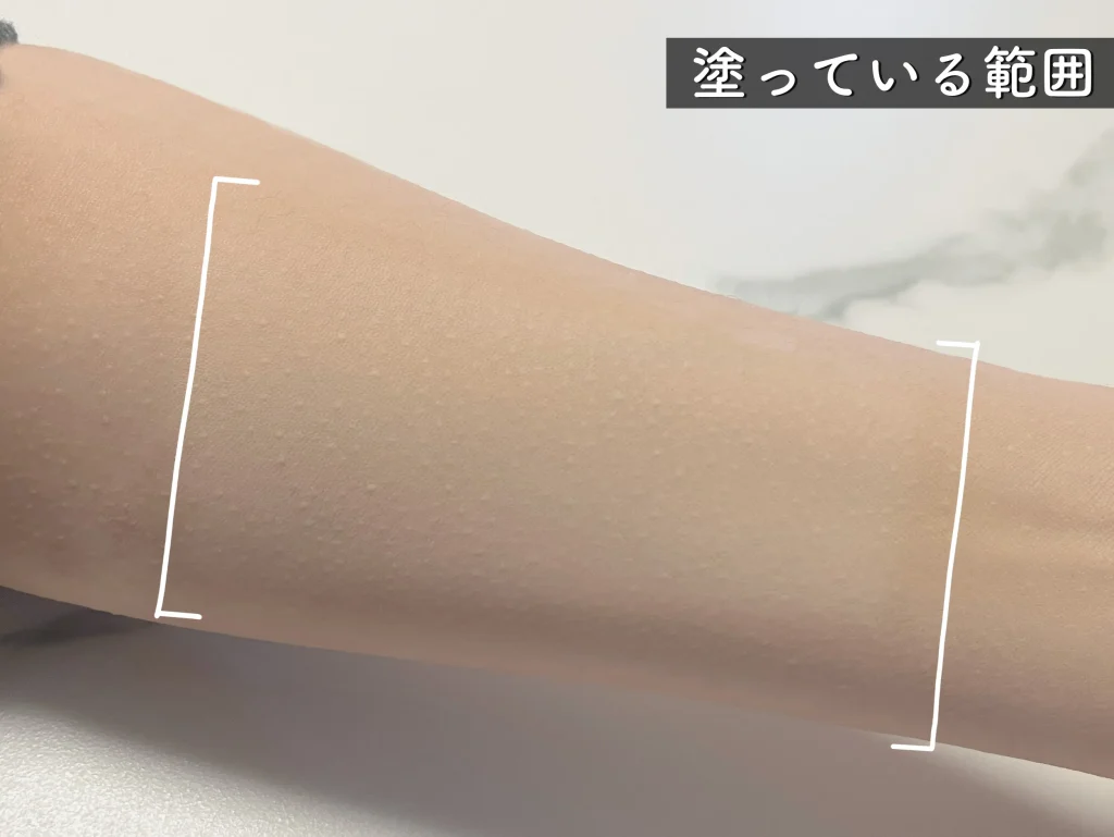 ベースメイクを実際のメイク工程と同じように、重ねて塗布した写真