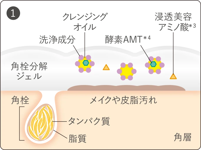 アクアレーベル エステ洗顔ジェルの「なじませ～すすぎのメカニズム」の説明イラスト