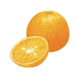 THREE バランシング クレンジング オイル Ｎに配合されている「オレンジ果皮油」のイメージイラスト