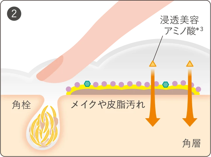 アクアレーベル エステ洗顔ジェルの「なじませ～すすぎのメカニズム」の説明イラスト