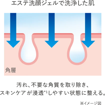 アクアレーベル エステ洗顔ジェルの「プレスキンケア効果のメカニズム」の説明のエステ洗顔ジェルで洗顔した肌のイラスト