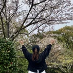 Satomi