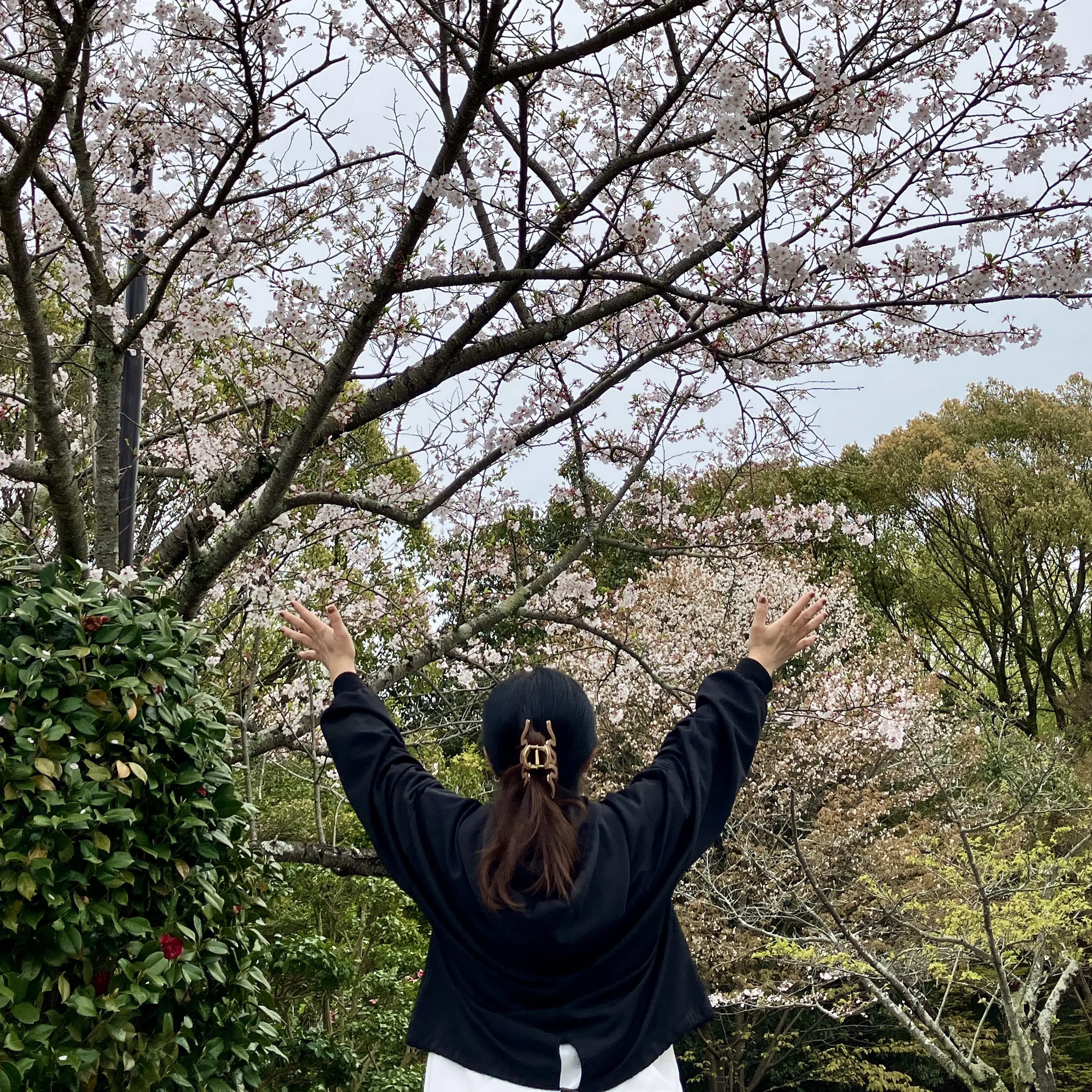 Satomi